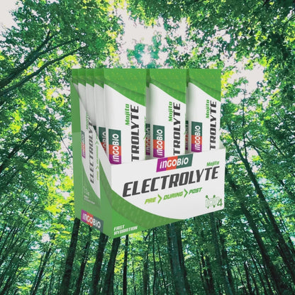 InGoBio Electrolyte Elektrolit Tozu Mojito Kutu (15 Adet)