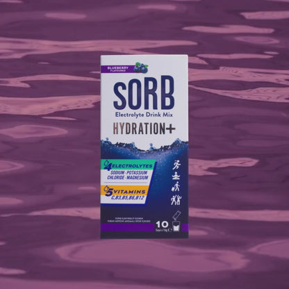 SORB Elektrolit Tozu Blueberry Kutu (10 Adet)