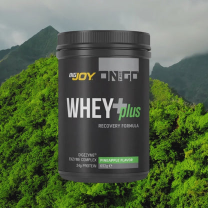ONTHEGO Whey+Plus Ananas Aromalı (693g)
