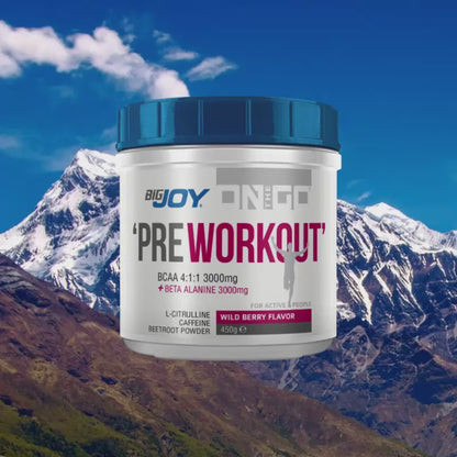 OnTheGo PreWorkout Wildberry 450gr